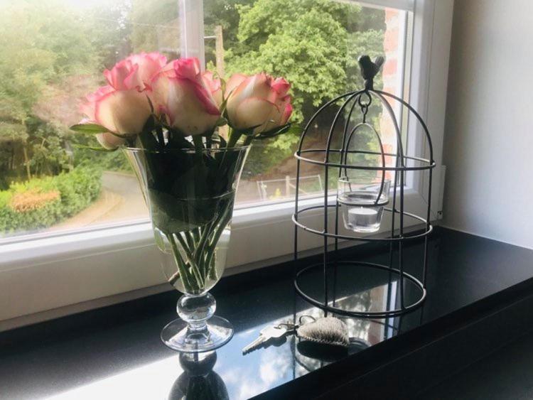 Vakantiewoning D'Hoppe Flobecq المظهر الخارجي الصورة